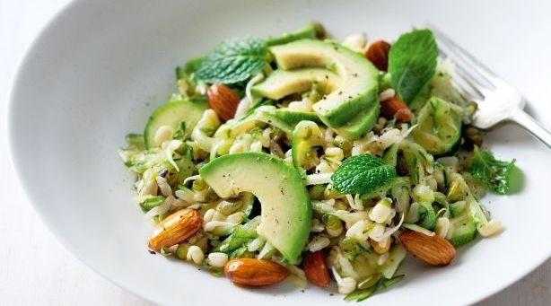 Healthy Avocado Recipes
 Healthy Avocado Lunch Recipes Women Daily Magazine