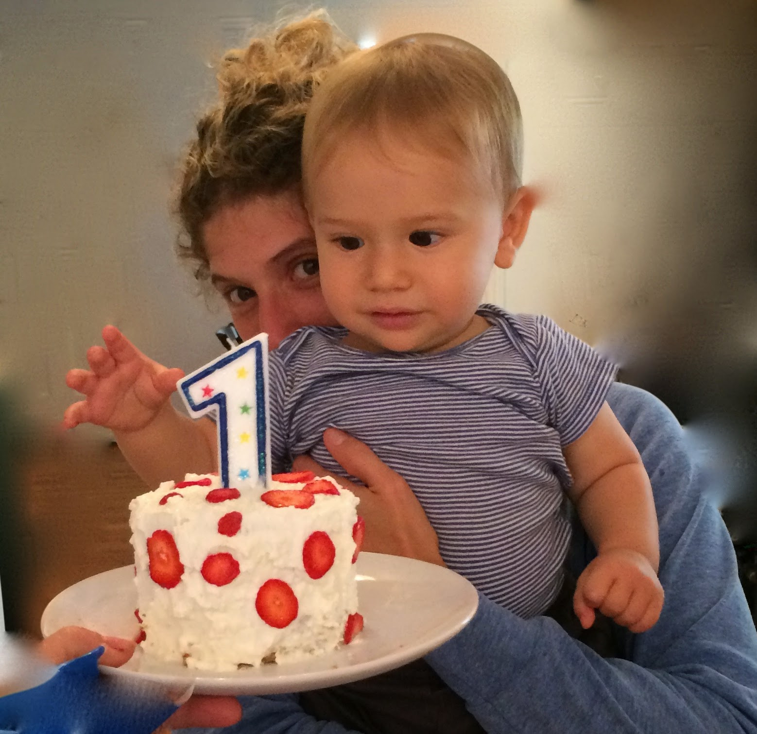 Healthy Baby First Birthday Cake
 MUCH ADO ABOUT STUFFING Healthy sugar free additive