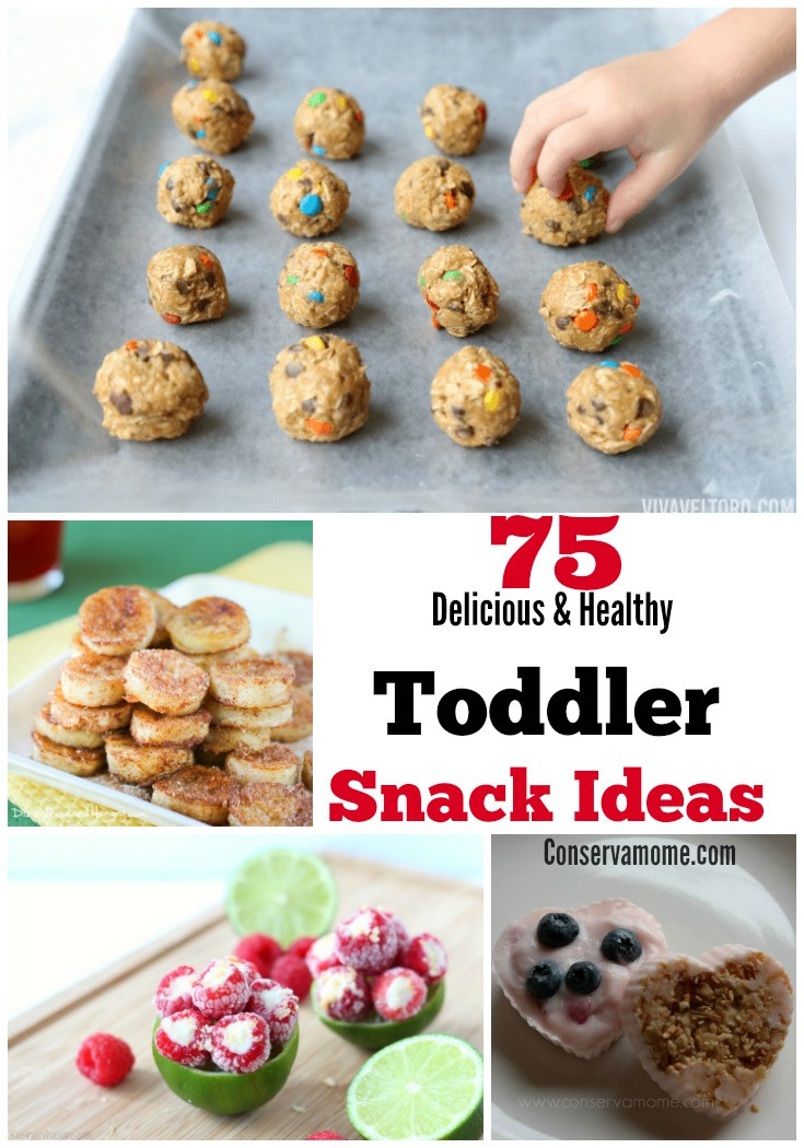 Healthy Baby Snacks
 75 Delicious & Healthy Toddler Snack Ideas ConservaMom