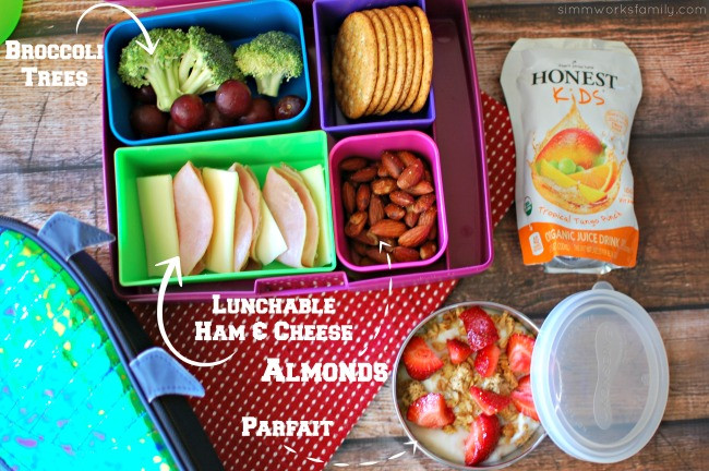 Healthy Back To School Lunches
 Healthy Back to School Lunch Tips on How To RocktheLunchbox