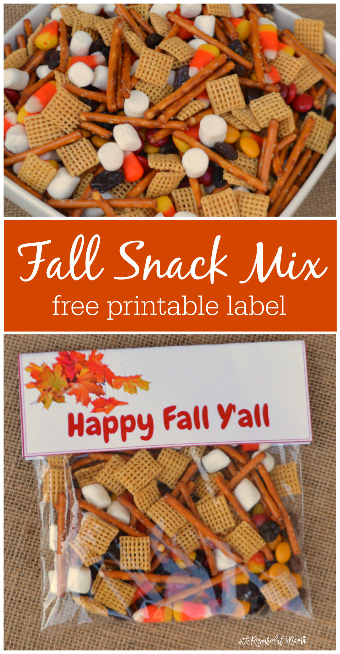 Healthy Bagged Snacks
 Fall Snack Mix Treat Bags The Resourceful Mama