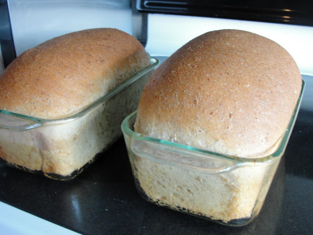 Healthy Bake Bread
 Healthy Family Cookin Whole Wheat Bread Recipe