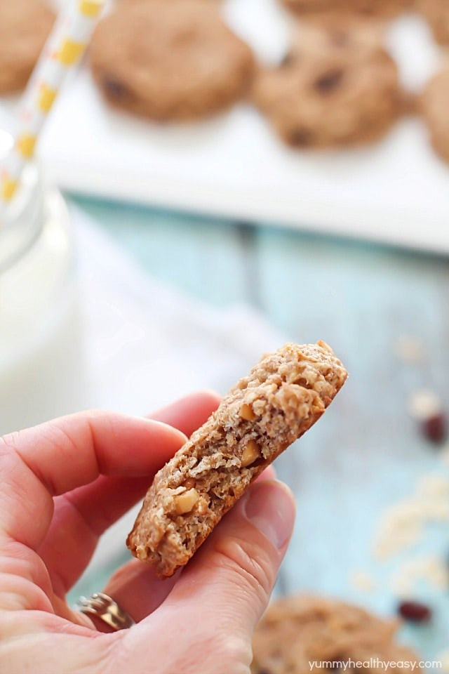 Healthy Banana Breakfast Cookies
 Healthy Banana Oatmeal Breakfast Cookies Yummy Healthy Easy