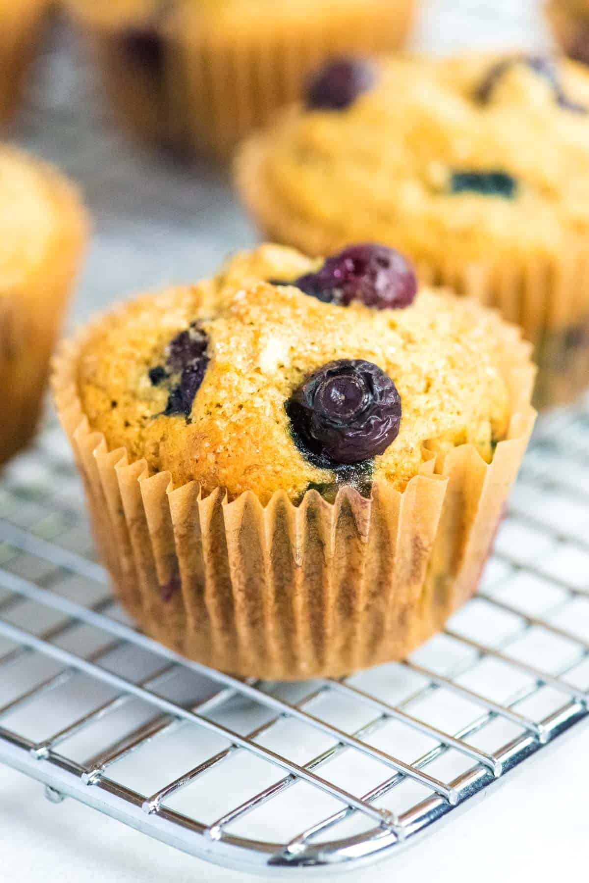 Healthy Banana Muffin Recipes
 Healthy Banana Blueberry Muffins Recipe