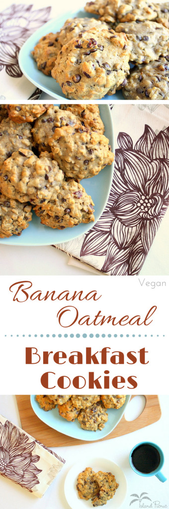 Healthy Banana Oatmeal Breakfast Cookies
 Banana Oatmeal Breakfast Cookies — Healthy & Vegan