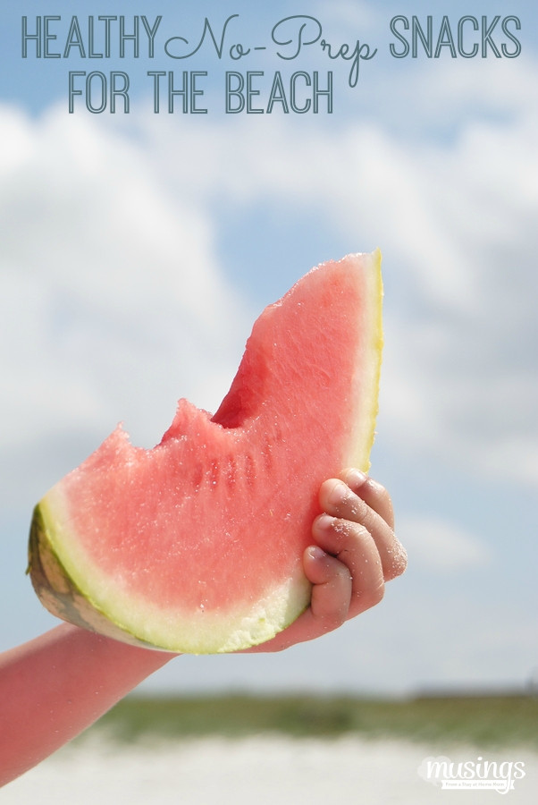 Healthy Beach Snacks
 Healthy No Prep Snacks for the Beach Living Well Mom