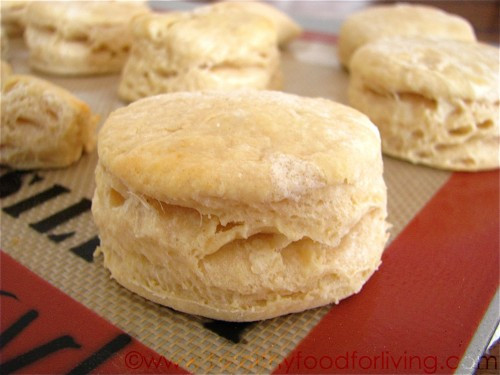Healthy Biscuit Recipe
 healthy biscuit recipe