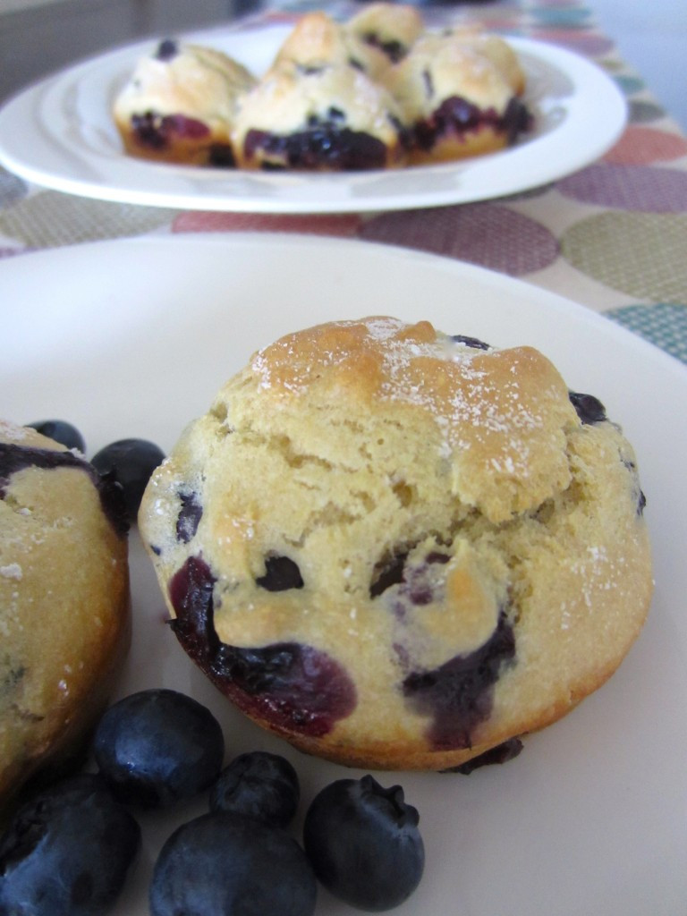 Healthy Blueberry Muffins With Applesauce
 healthy blueberry muffins with applesauce