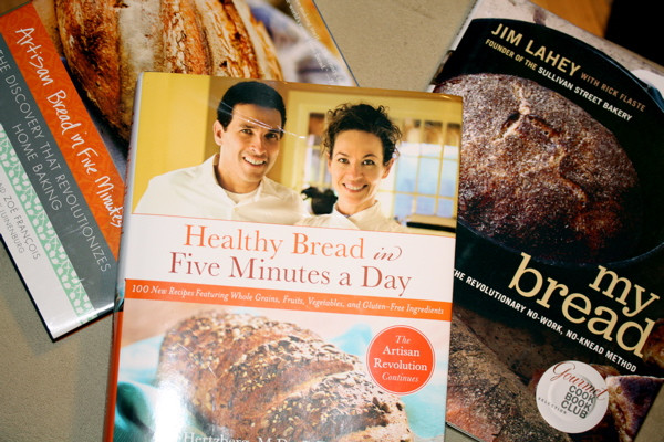 Healthy Bread In 5 Minutes A Day
 Healthy Bread in Five Minutes a Day vs Lahey s My Bread