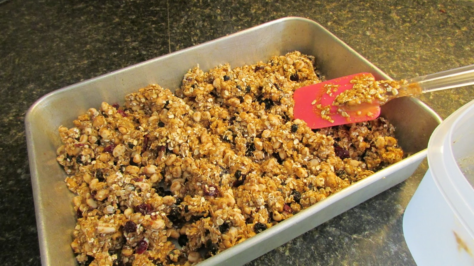 Healthy Breakfast Bar
 What is Shelly up to now Healthy Breakfast Bars That