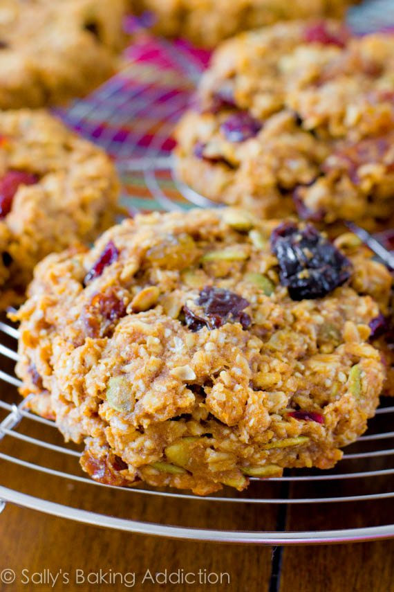 Healthy Breakfast Cookie
 S more Cookie Bars Sallys Baking Addiction