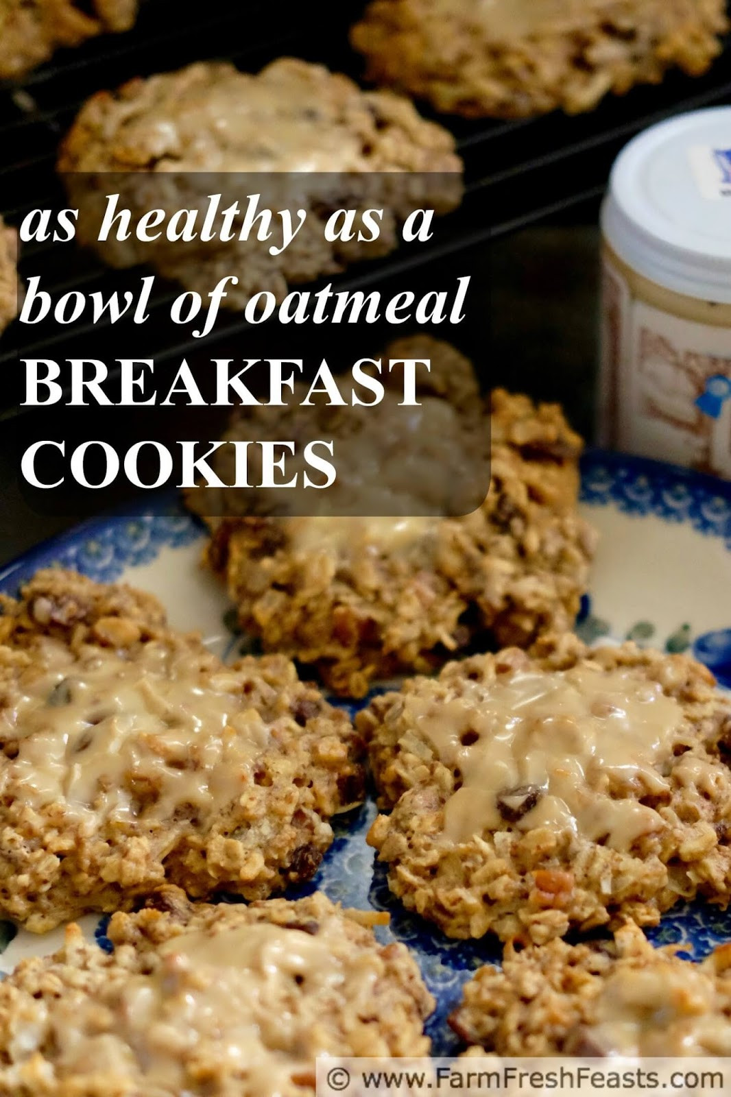 Healthy Breakfast Cookie
 Farm Fresh Feasts Healthy Breakfast Cookies