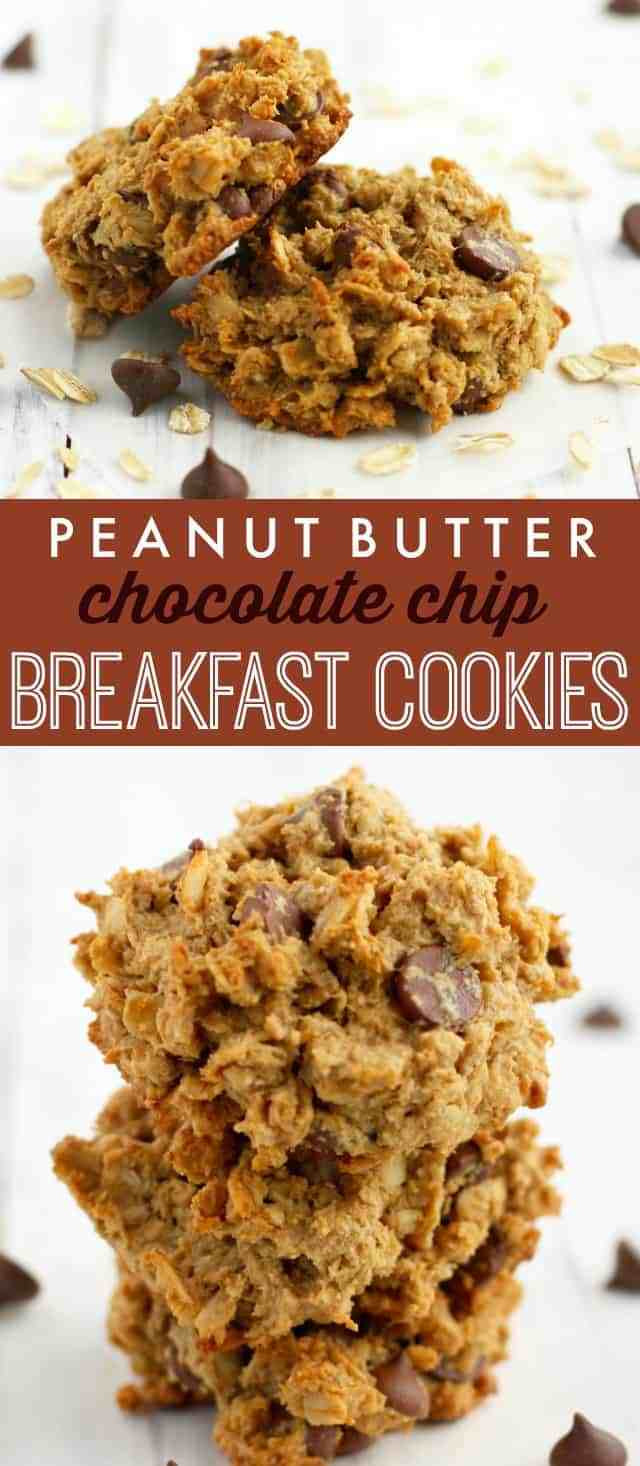 Healthy Breakfast Cookie Recipes
 Peanut Butter Chocolate Chip Breakfast Cookies The