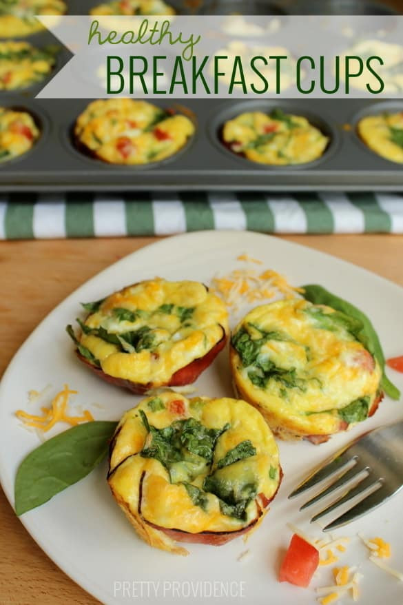 Healthy Breakfast Cups
 Healthy Breakfast Cups The Go