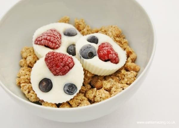 Healthy Breakfast For Children
 Easy Recipes for Kids Frozen Fruity Yoghurt Bites