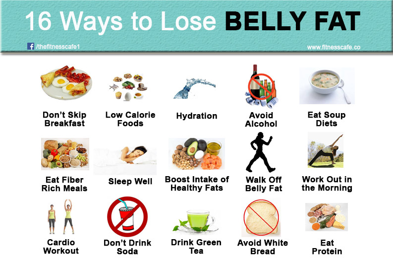 Healthy Breakfast to Lose Belly Fat 20 Best Ideas 9 Foods to Eat for Weight Loss the Fitness Cafe