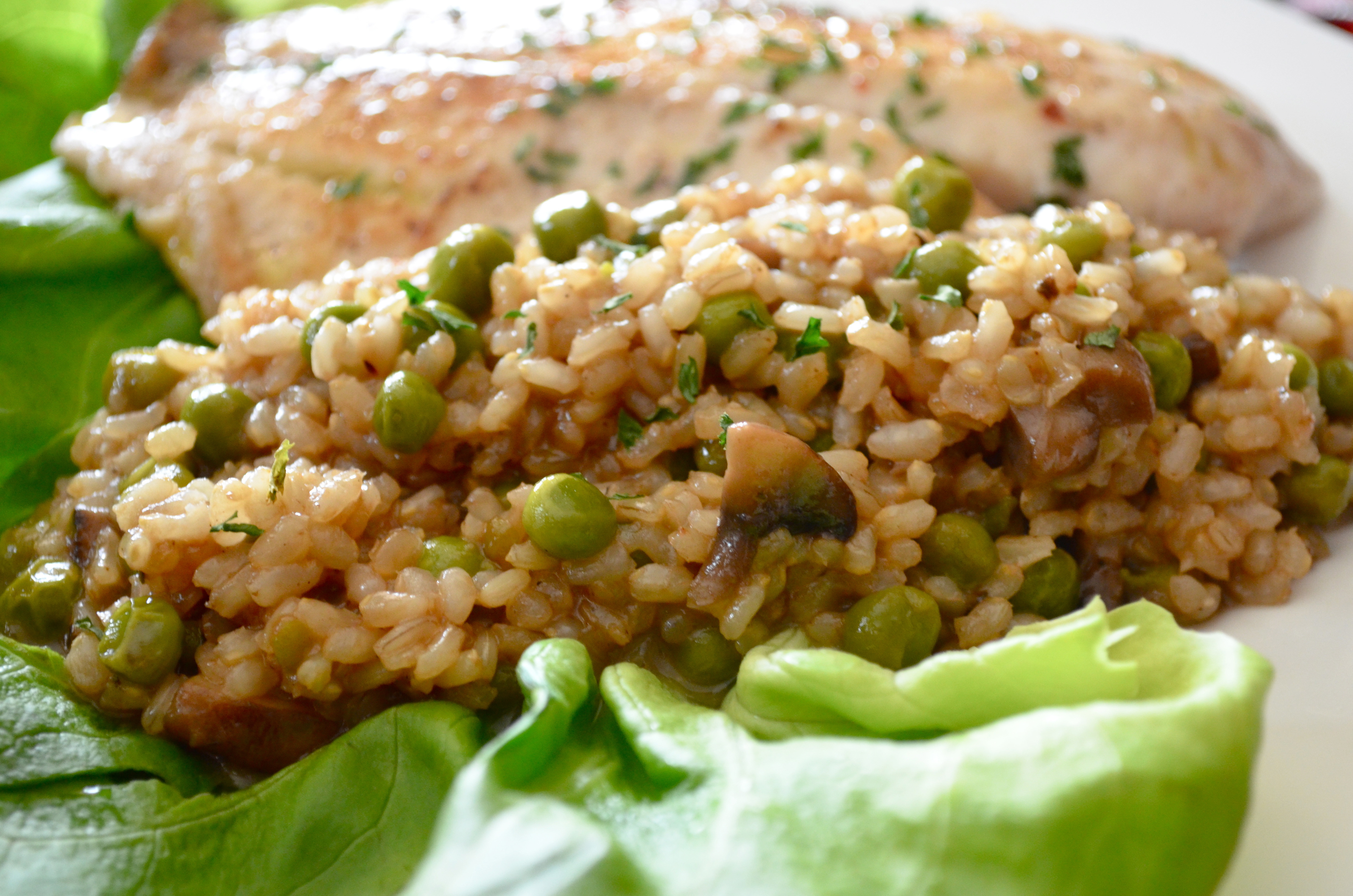 Healthy Brown Rice
 6 Best Healthy Brown Rice Recipes