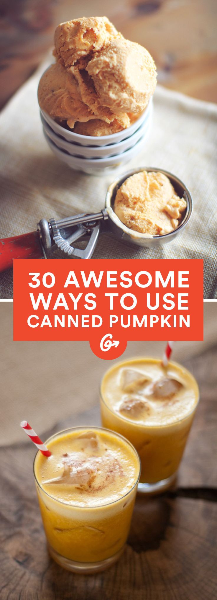 Healthy Canned Pumpkin Recipes
 100 Canned Pumpkin Recipes on Pinterest