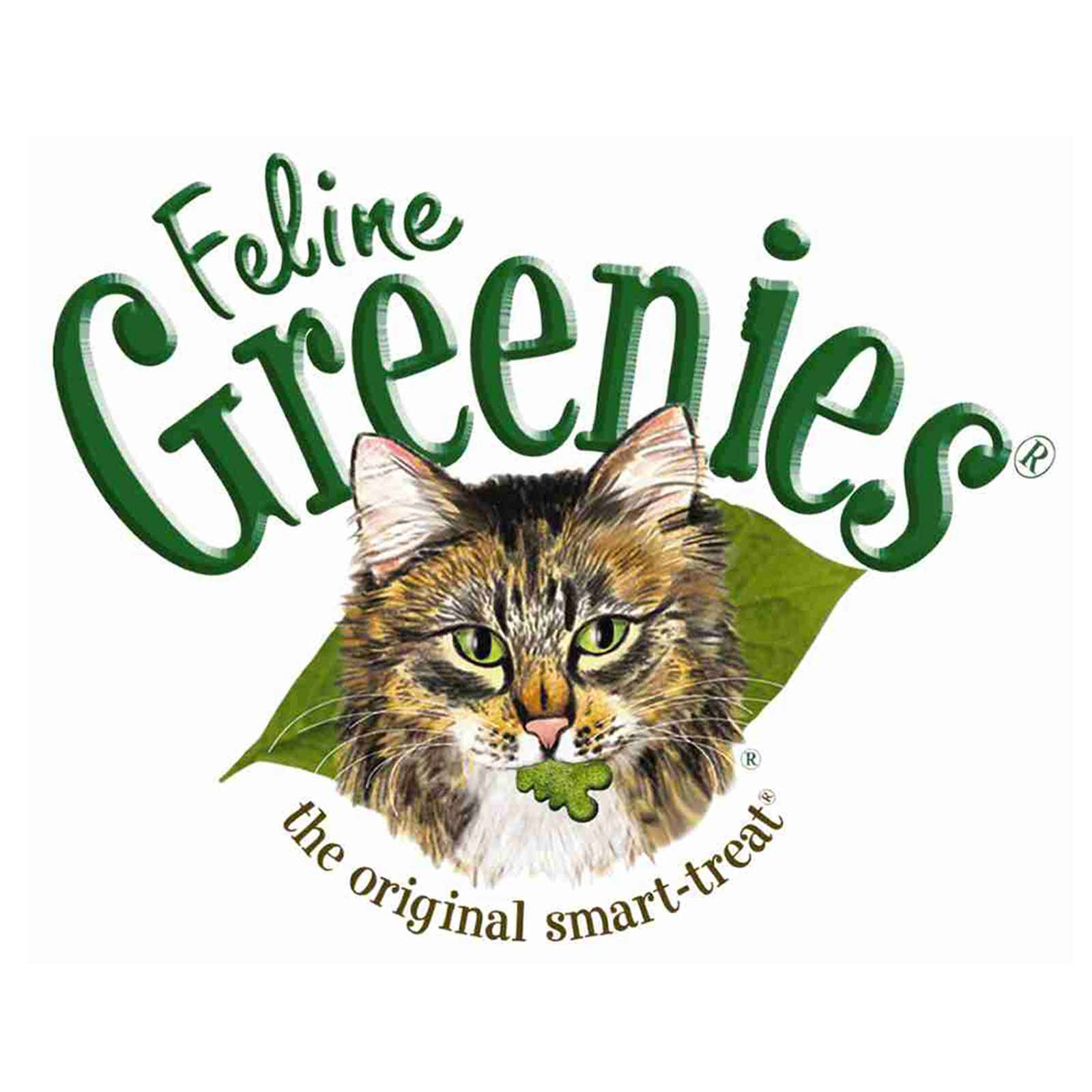 Healthy Cat Snacks
 Greenies Feline Chicken 85G Healthy Cat Treats Dental