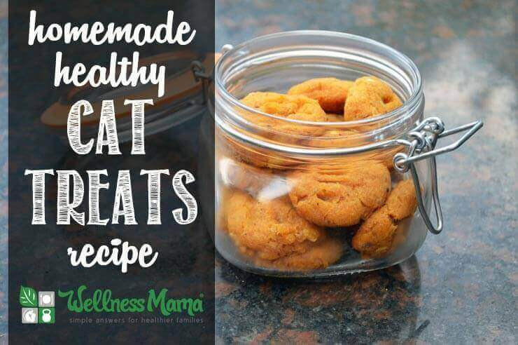 Healthy Cat Snacks
 Healthy Homemade Cat Treats Recipe