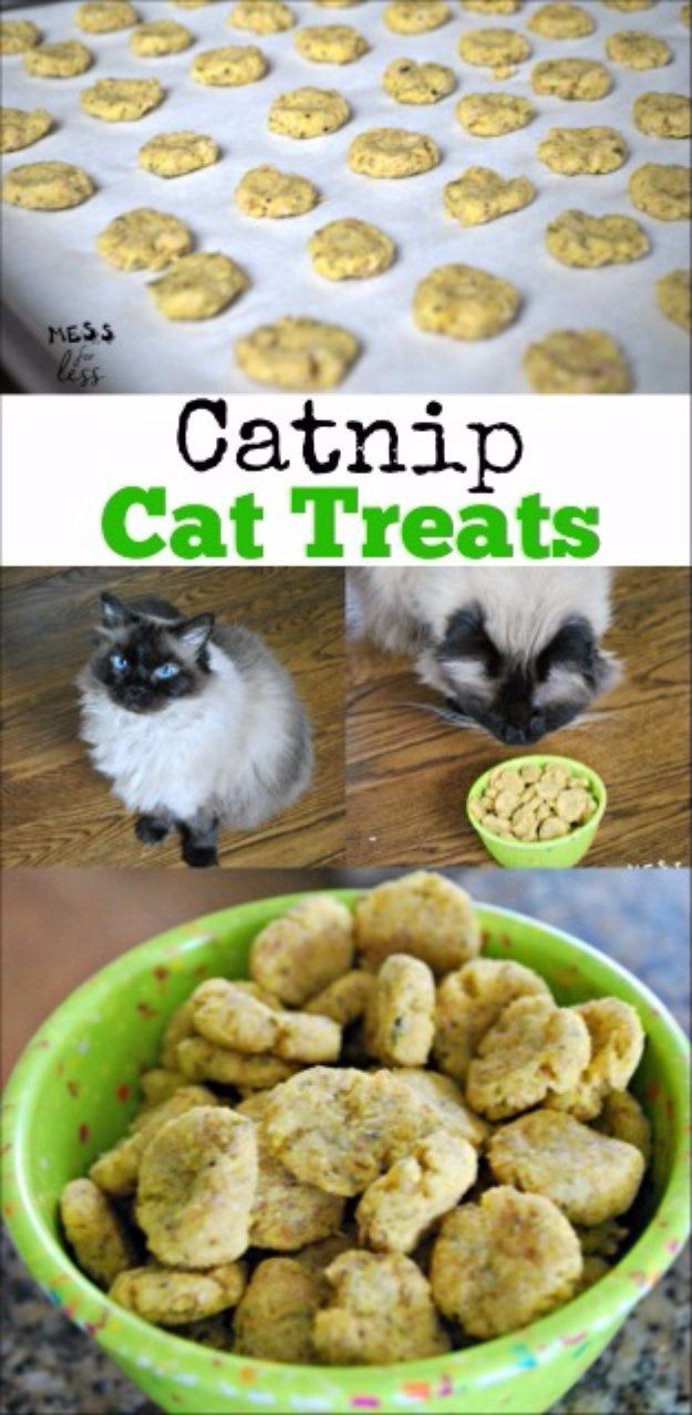 Healthy Cat Snacks
 1000 ideas about Homemade Cat Trees on Pinterest