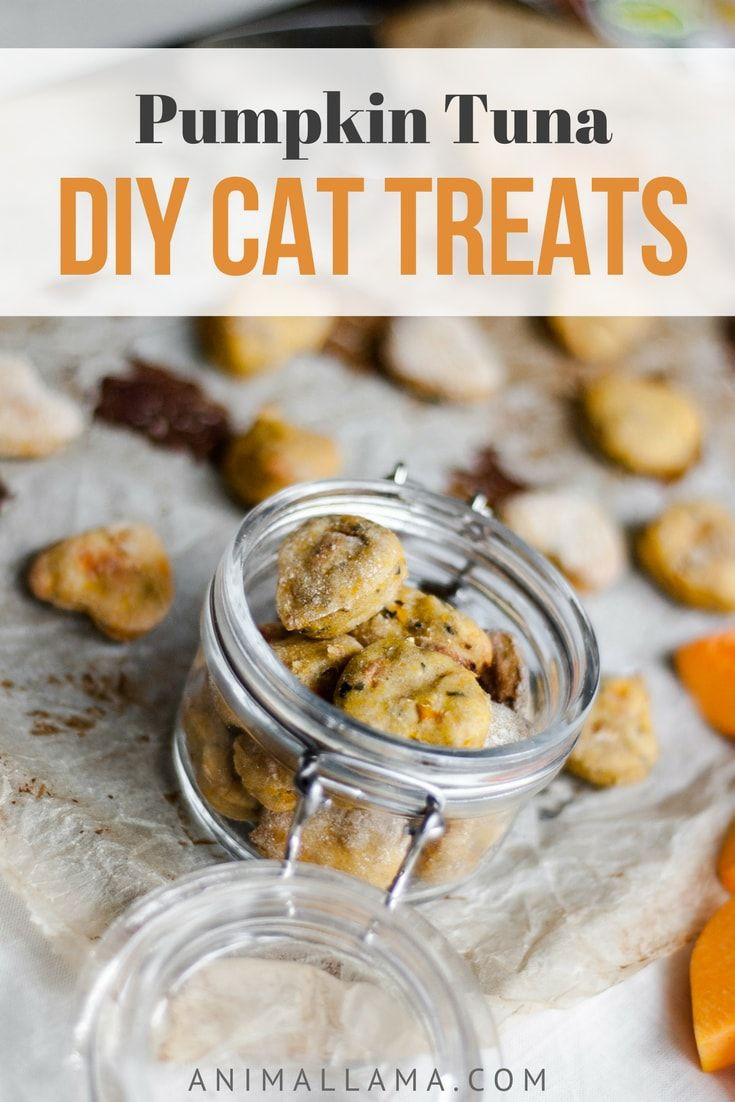 Healthy Cat Snacks
 Best 25 Homemade cat food ideas on Pinterest