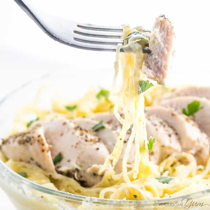 Healthy Chicken Spaghetti Recipe
 Healthy Chicken Alfredo Recipe with Spaghetti Squash