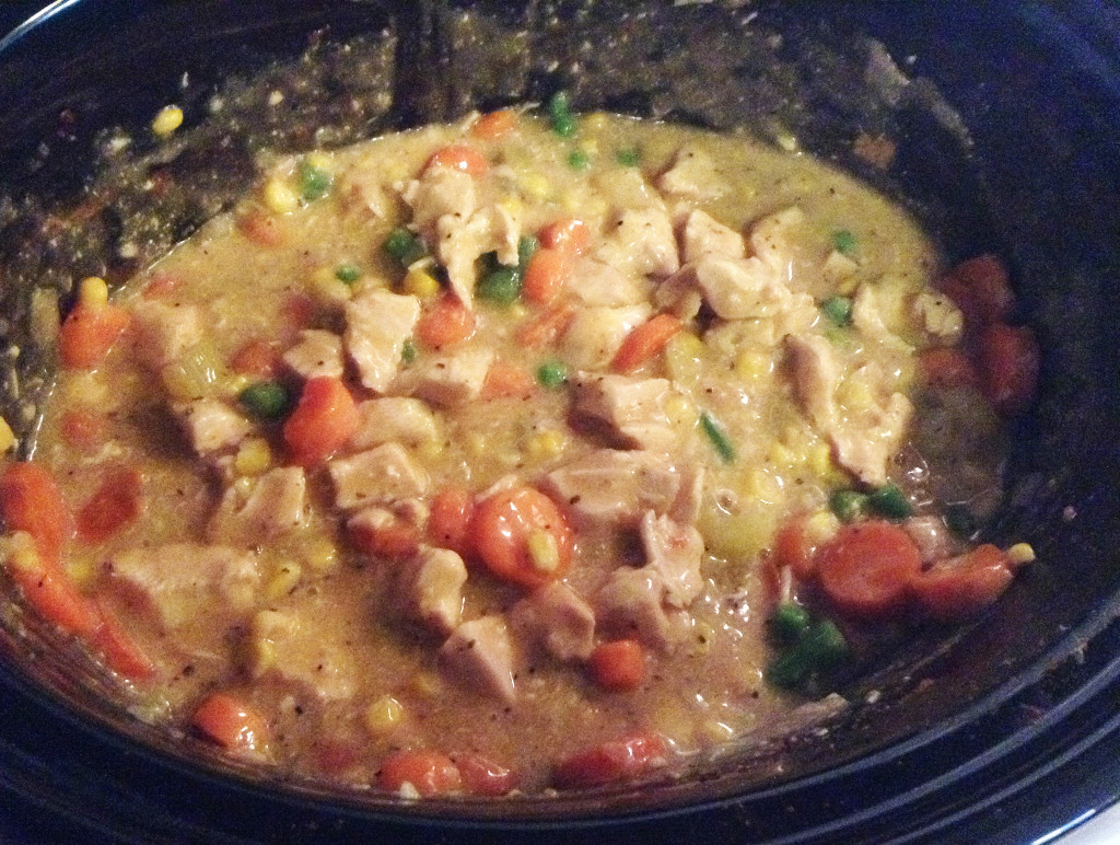 Healthy Chicken Stew Crock Pot Recipe
 Crock Pot Recipes Chicken Beef with Ground Beef Easy