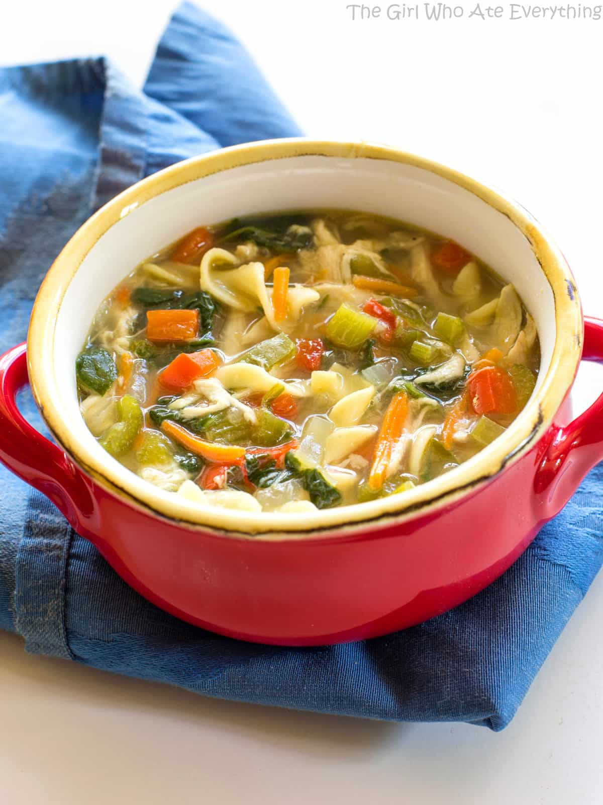 Healthy Chicken Vegetable Soup Recipe
 Healthy Ve able Chicken Soup The Girl Who Ate Everything