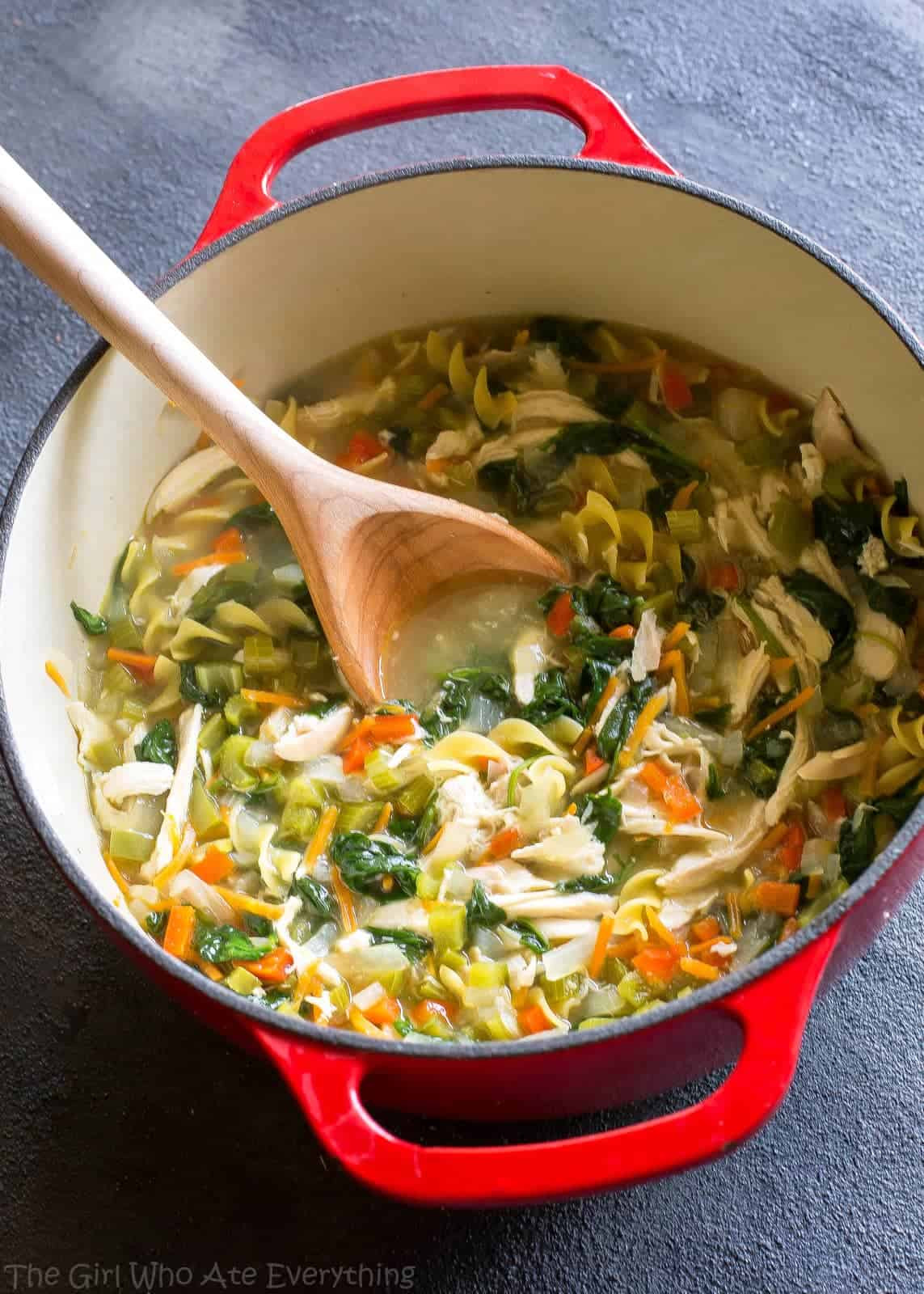 Healthy Chicken Vegetable soup Recipe top 20 Healthy Ve Able Chicken soup the Girl who ate Everything