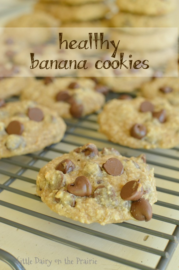 Healthy Chocolate Chip Cookies With Banana
 Healthy Chocolate Chip Banana Cookies Little Dairy