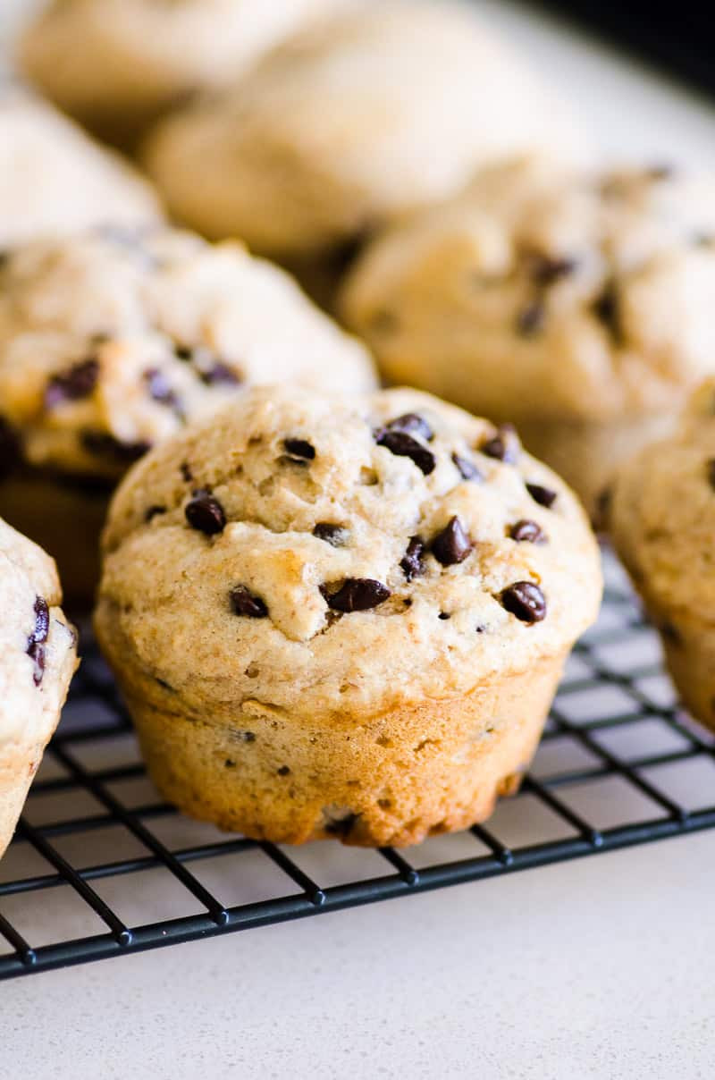 Healthy Chocolate Chip Muffins
 Healthy Chocolate Chip Muffins iFOODreal Healthy