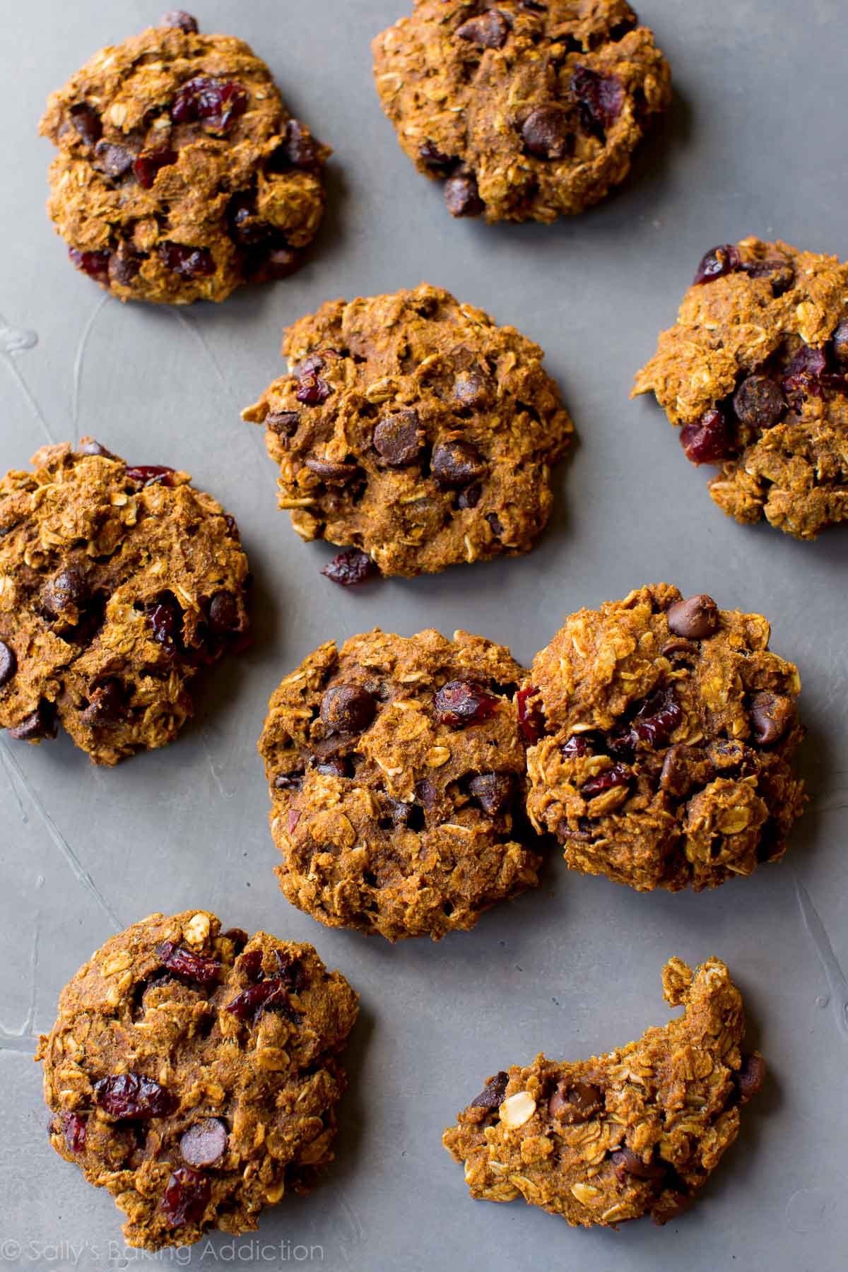 Healthy Chocolate Chip Oatmeal Cookies
 Healthy Pumpkin Chocolate Chip Oatmeal Cookies Sallys