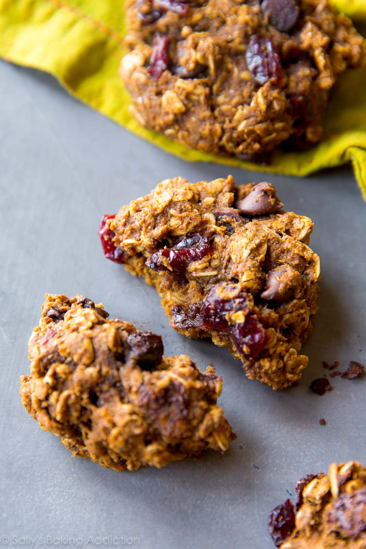 Healthy Chocolate Chip Oatmeal Cookies
 Healthy Pumpkin Chocolate Chip Oatmeal Cookies Sallys