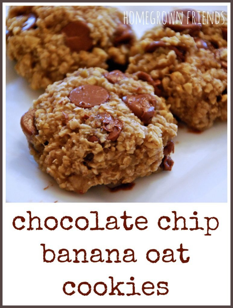 Healthy Chocolate Chip Oatmeal Cookies
 Healthy Chocolate Chip Banana Oat Cookie Recipe