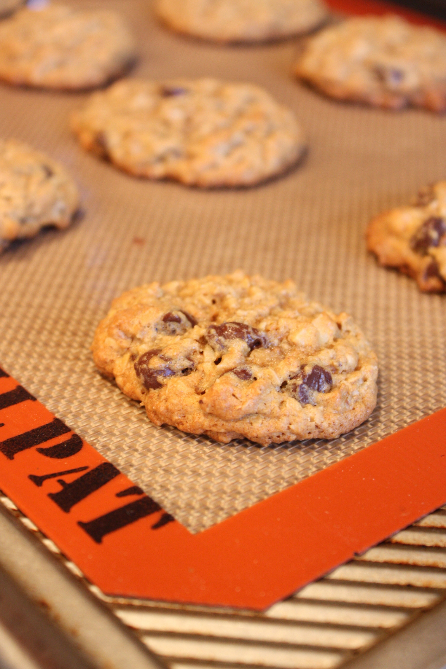 Healthy Chocolate Chip Oatmeal Cookies
 Healthy Oatmeal Chocolate Chip Flax Cookies