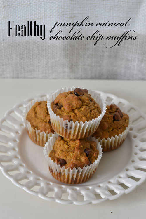 Healthy Chocolate Muffins Oatmeal
 Healthy Pumpkin Oatmeal Chocolate Chip Muffins Supper