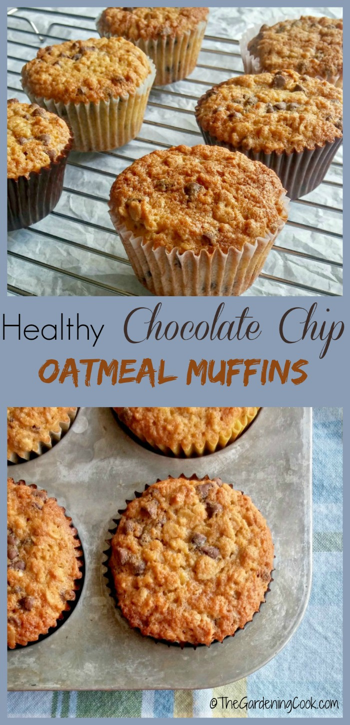 Healthy Chocolate Muffins Oatmeal
 Chocolate Chip Oatmeal Muffins The Gardening Cook