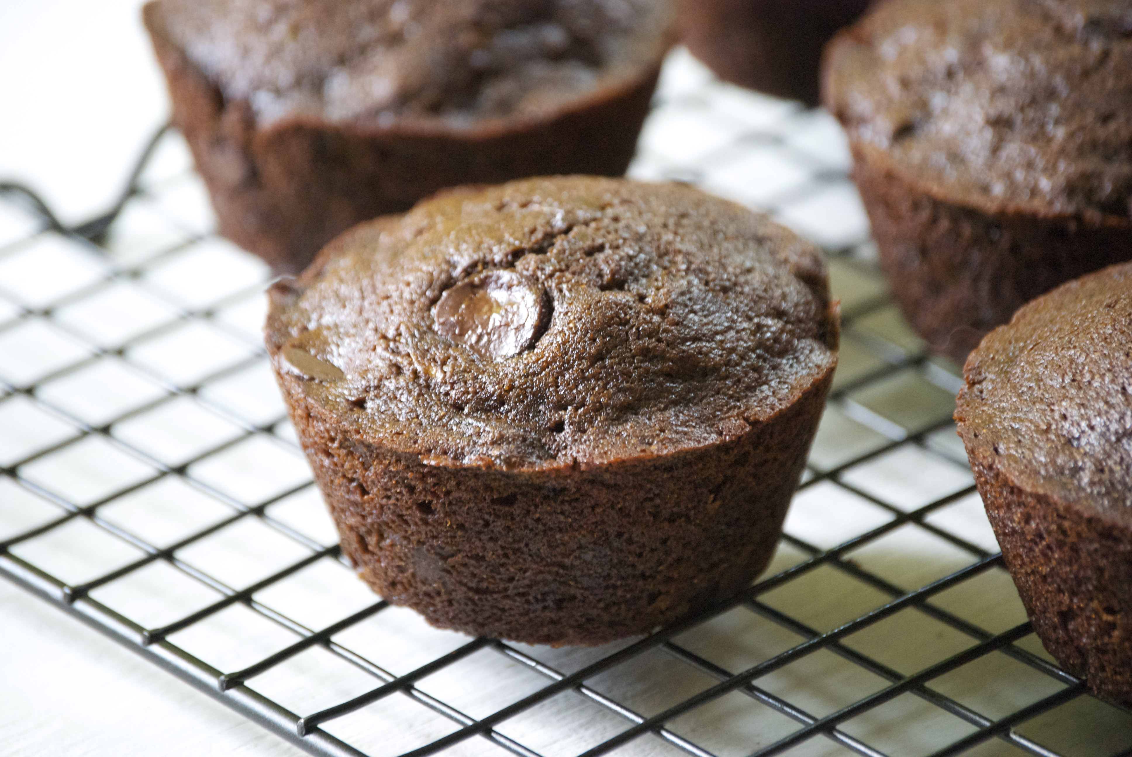 Healthy Chocolate Zucchini Muffins
 Healthy Chocolate Zucchini Muffins