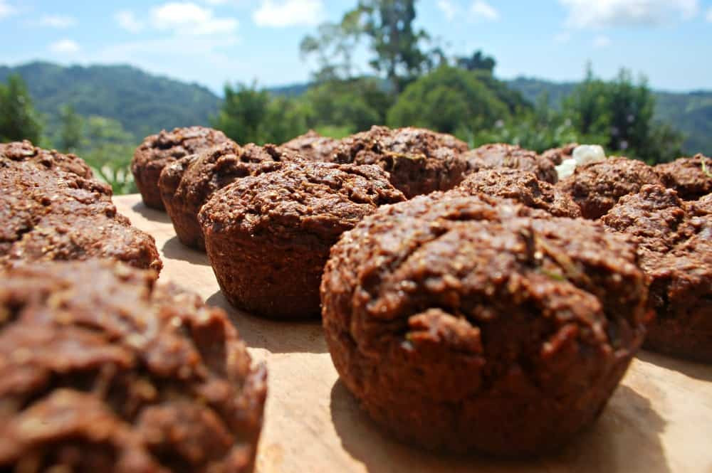 Healthy Chocolate Zucchini Muffins
 Healthy Plant Based Chocolate Zucchini Muffins – True