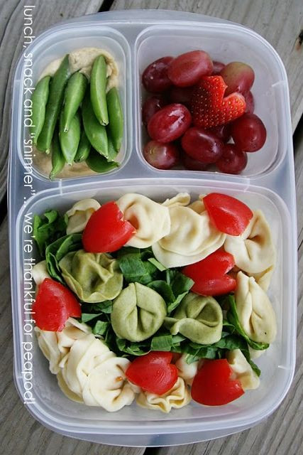 Healthy Cold Lunches
 237 best images about Bento lunches for adults on Pinterest