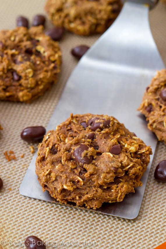 Healthy Cookies Recipe Low Calorie
 Healthy Oatmeal Raisinet Cookies Sallys Baking Addiction