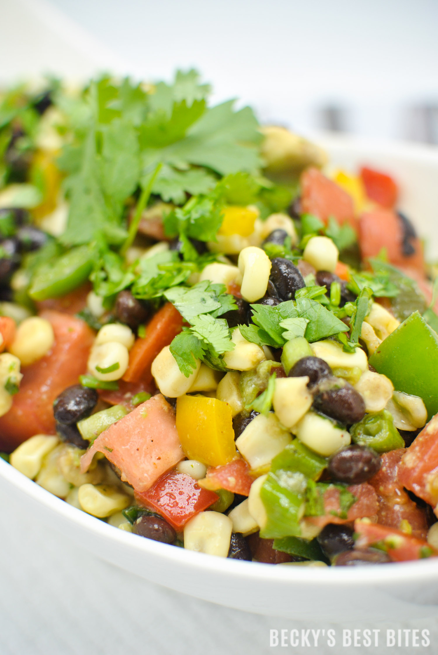 Healthy Corn Side Dishes
 Southwest Black Bean and Corn Salad Salsa