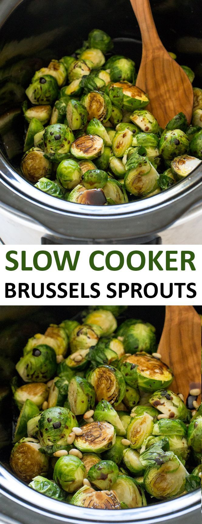 Healthy Crockpot Side Dishes
 Best 25 Brussel sprout plant ideas on Pinterest