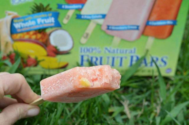 Healthy Dessert Alternatives
 Healthy Dessert Alternatives Fruti Fruit Bars