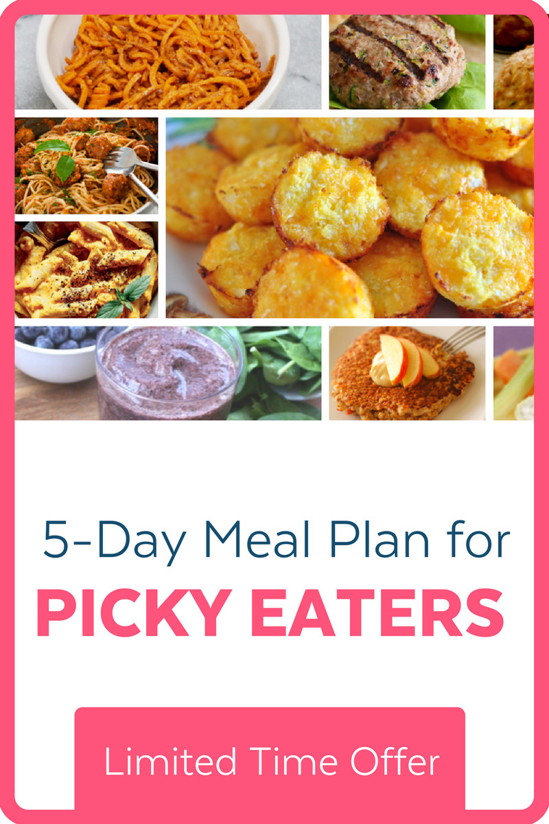 Healthy Dinners For Picky Eaters
 healthy meals for picky kids