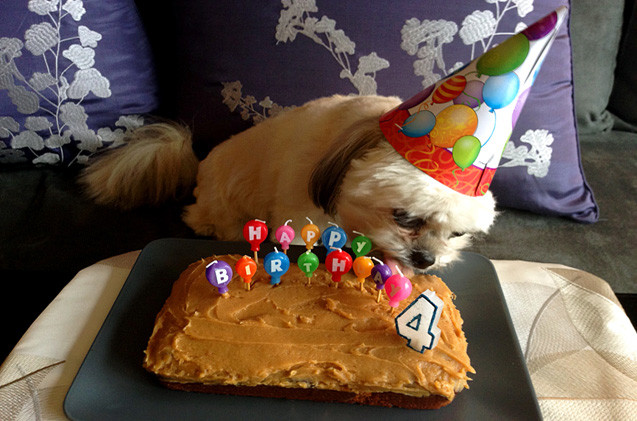 Healthy Dog Birthday Cake
 Party Down Dog Birthday Cake Recipe