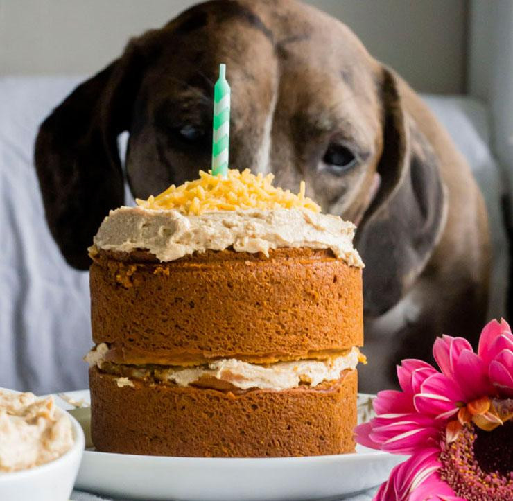 Healthy Dog Birthday Cake Recipe
 14 Dog Birthday Cake & Cupcake Homemade Recipes