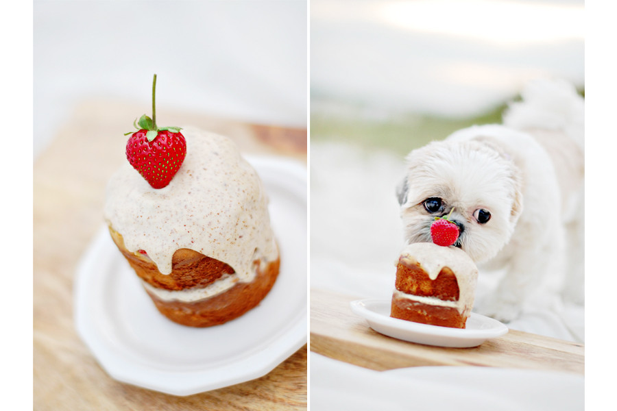 Healthy Dog Birthday Cake Recipes
 Pretty Fluffy