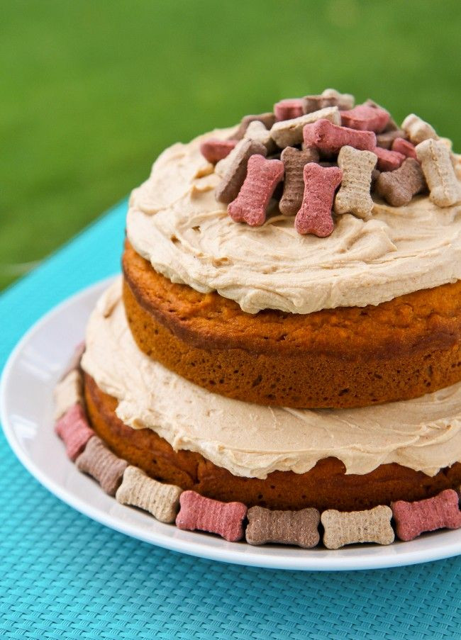 Healthy Dog Birthday Cake Recipes
 Sometimes the dogs deserve a treat as well